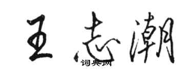 駱恆光王志潮行書個性簽名怎么寫