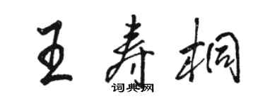 駱恆光王壽桐行書個性簽名怎么寫
