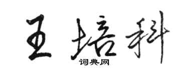 駱恆光王培科行書個性簽名怎么寫