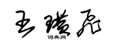 朱錫榮王璜飛草書個性簽名怎么寫