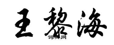 胡問遂王黎海行書個性簽名怎么寫