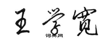 駱恆光王學寬行書個性簽名怎么寫