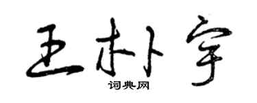 曾慶福王朴宇草書個性簽名怎么寫