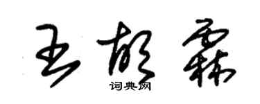 朱錫榮王胡霖草書個性簽名怎么寫