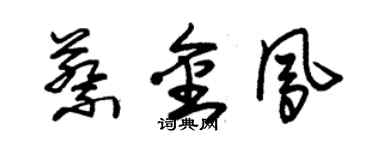 朱錫榮蔡金鳳草書個性簽名怎么寫