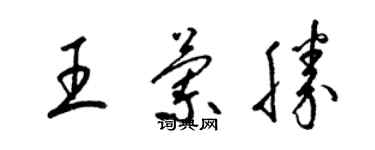 梁錦英王蘭勝草書個性簽名怎么寫