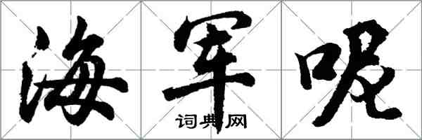 胡問遂海軍呢行書怎么寫