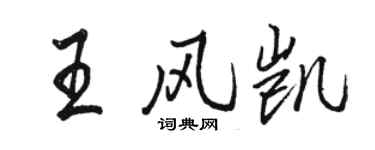 駱恆光王風凱行書個性簽名怎么寫