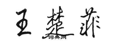 駱恆光王楚菲行書個性簽名怎么寫