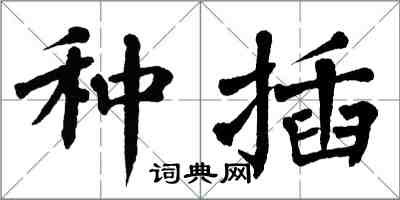 翁闓運種插楷書怎么寫