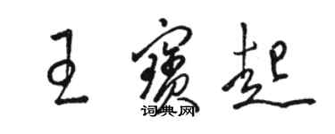 駱恆光王寶起草書個性簽名怎么寫