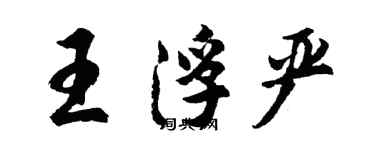 胡問遂王浮嚴行書個性簽名怎么寫