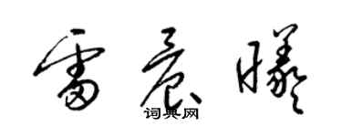 梁錦英雷晨曦草書個性簽名怎么寫