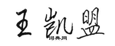 駱恆光王凱盟行書個性簽名怎么寫