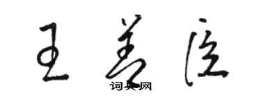 駱恆光王善臣草書個性簽名怎么寫