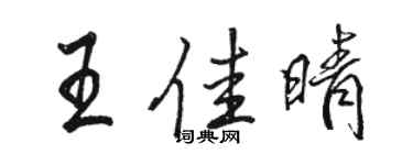 駱恆光王佳晴行書個性簽名怎么寫