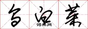 朱錫榮烏白菜草書怎么寫