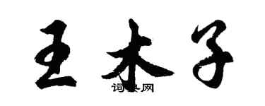 胡問遂王木子行書個性簽名怎么寫