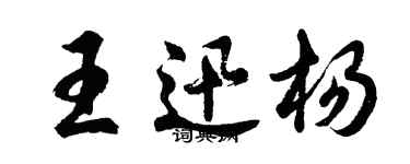 胡問遂王迅楊行書個性簽名怎么寫