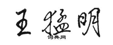 駱恆光王猛明行書個性簽名怎么寫