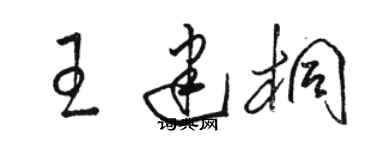 駱恆光王建桐草書個性簽名怎么寫