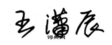 朱錫榮王瀟辰草書個性簽名怎么寫