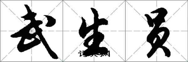 胡問遂武生員行書怎么寫