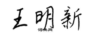 王正良王明新行書個性簽名怎么寫