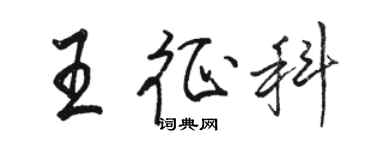 駱恆光王征科行書個性簽名怎么寫