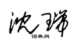 朱錫榮沈瑞草書個性簽名怎么寫