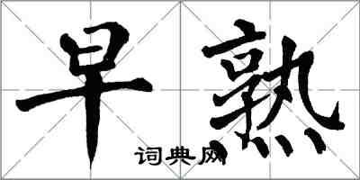 翁闓運早熟楷書怎么寫