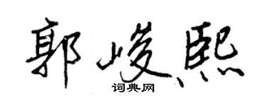 王正良郭峻熙行書個性簽名怎么寫