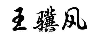 胡問遂王驥風行書個性簽名怎么寫