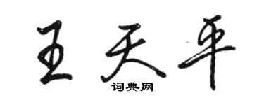 駱恆光王天平行書個性簽名怎么寫