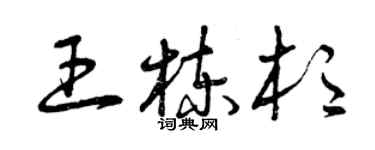 曾慶福王棟杉草書個性簽名怎么寫