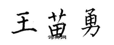 何伯昌王苗勇楷書個性簽名怎么寫