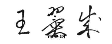 駱恆光王翼成草書個性簽名怎么寫