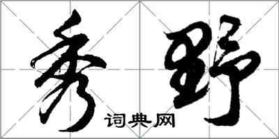 胡問遂秀野行書怎么寫