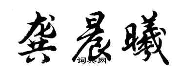 胡問遂龔晨曦行書個性簽名怎么寫