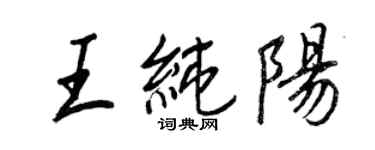王正良王純陽行書個性簽名怎么寫