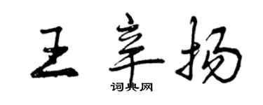 曾慶福王辛揚行書個性簽名怎么寫