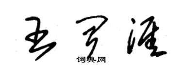 朱錫榮王聞涯草書個性簽名怎么寫