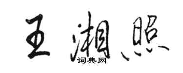 駱恆光王湘照行書個性簽名怎么寫