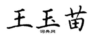 丁謙王玉苗楷書個性簽名怎么寫