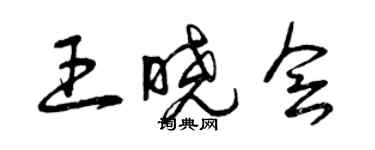 曾慶福王曉會草書個性簽名怎么寫