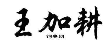 胡問遂王加耕行書個性簽名怎么寫