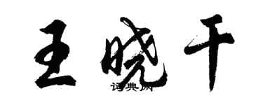 胡問遂王曉乾行書個性簽名怎么寫