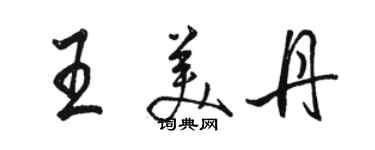 駱恆光王美丹行書個性簽名怎么寫