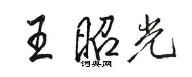 駱恆光王昭光行書個性簽名怎么寫