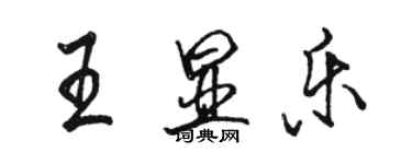 駱恆光王顯樂行書個性簽名怎么寫